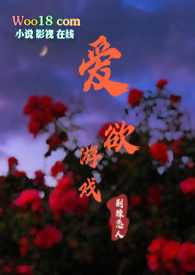 暗影游侠哪个是元素伤害